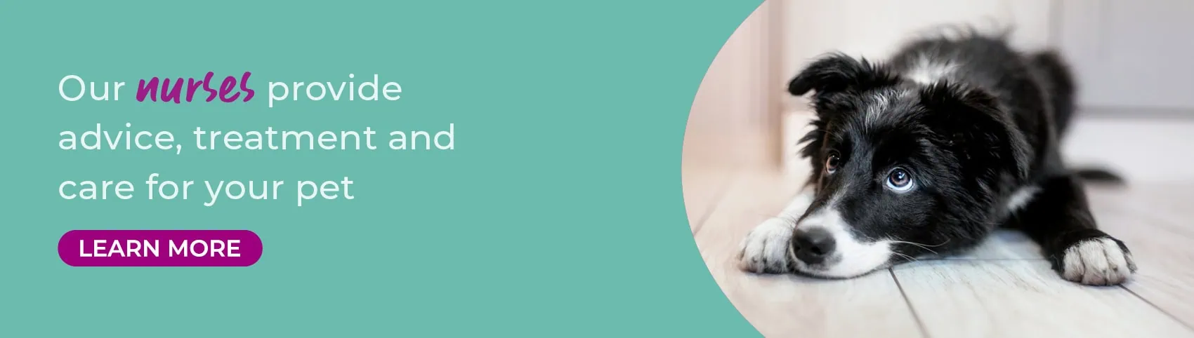 Wildbore Vetstop Veterinary Hospital in Worksop