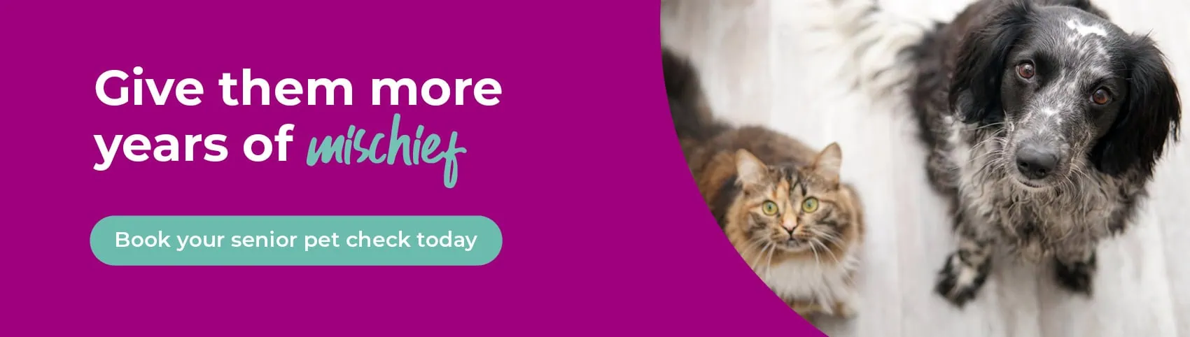 Wildbore Vetstop Veterinary Hospital in Worksop